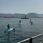 Excursión Guiada en Paddle Surf