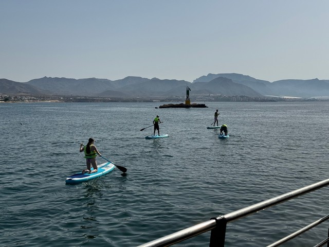 Alquiler de paddle surf